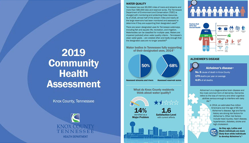 Community Health Assessment Image