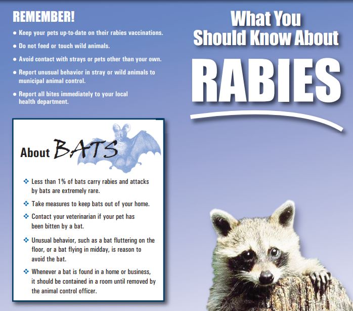 Rabies Information Health Department Knox County Tennessee Government