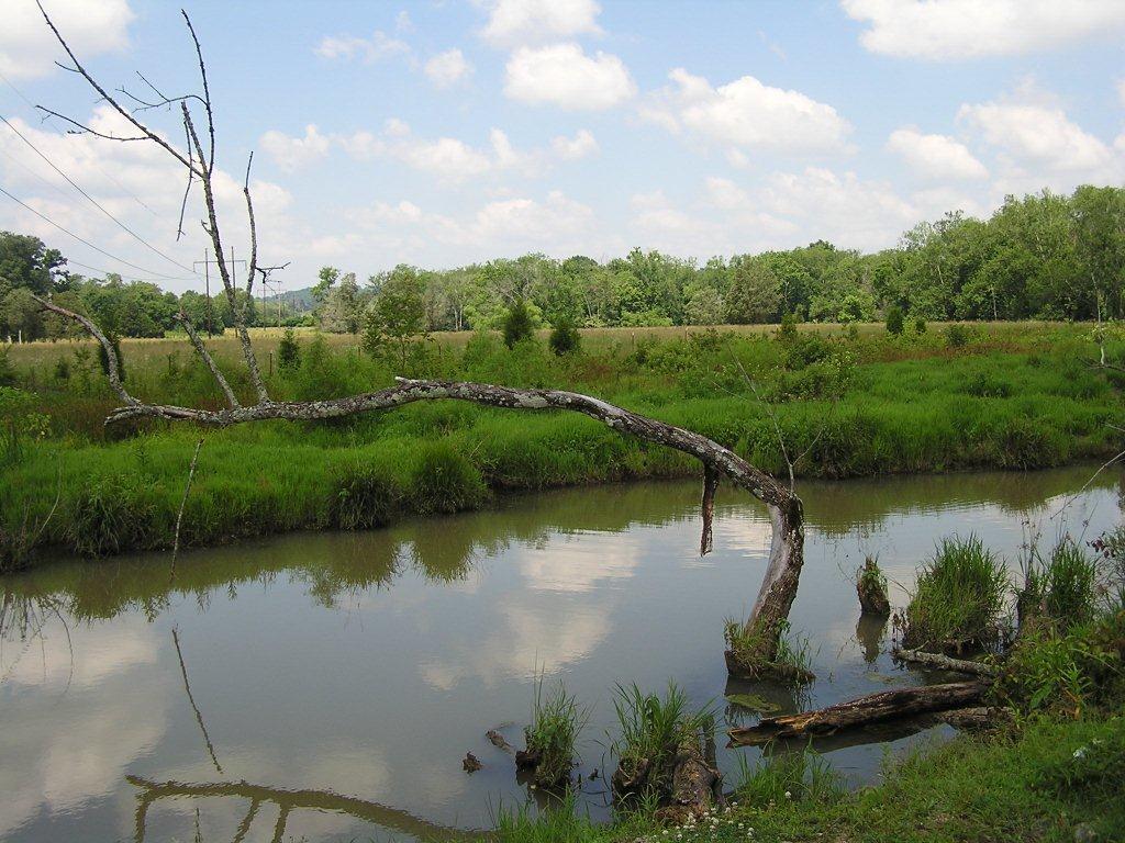 Stormwater - Beaver Creek Watershed - Engineering & Public Works - Knox  County Tennessee Government